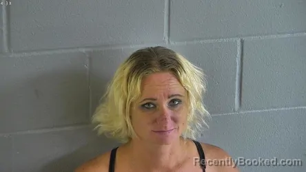 Mugshot of LINDA NICOLE WILLIAMSON booked in Levy County, Florida on July 12, 2026