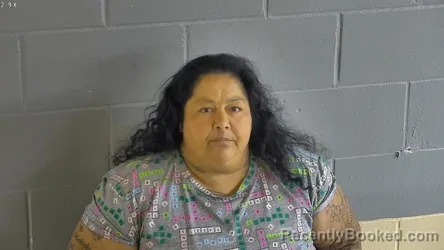 Mugshot of MERCEDES IRENE FERNANDEZ