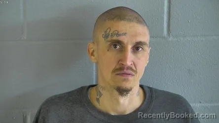 Mugshot of MICHAEL HANNIGAN