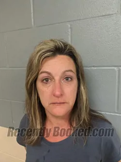 Booking photo from Levy County, Florida