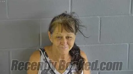 Booking photo from Levy County, Florida