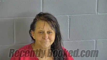 Booking photo from Levy County, Florida