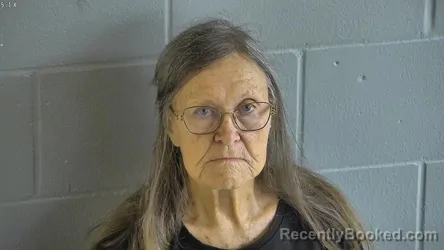Mugshot of PAMELA KAYE SANTINO