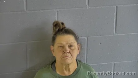 Mugshot of PAMELA VAMOSI