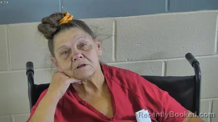 Mugshot of Pamela Kay Vamosi booked in Levy County, Florida on September 22, 2026