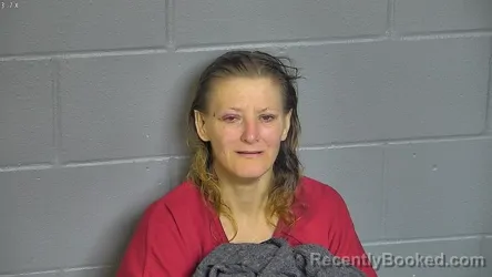 Mugshot of ROSA STINNETT