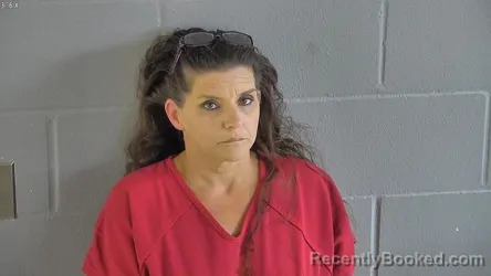 Mugshot of STEPHANIE LYNN BEACH booked in Levy County, Florida on June 27, 2026