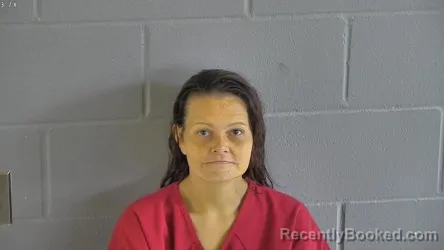 Mugshot of SYLVIA LYN CHISOLM