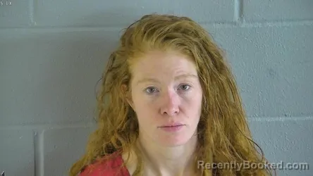 Mugshot of SANDI JANE HENNEMAN