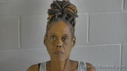Mugshot of SHIRLEY JEAN JOHNSON booked in Levy County, Florida on June 29, 2026