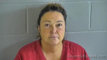 Mugshot of STACEY ANNE LEE booked in Levy County, Florida on June 11, 2026