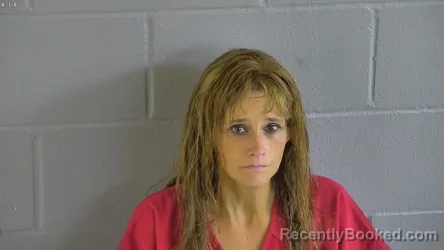 Mugshot of Stacy Renee Meharg booked in Levy County, Florida on September 12, 2026