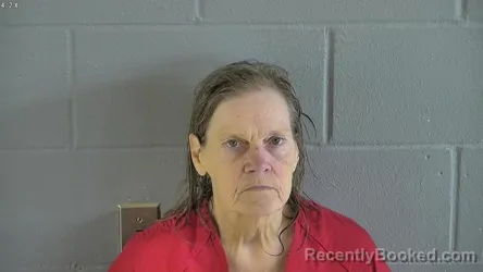 Mugshot of TAMMY ELIZABETH JONES booked in Levy County, Florida on May 4, 2026