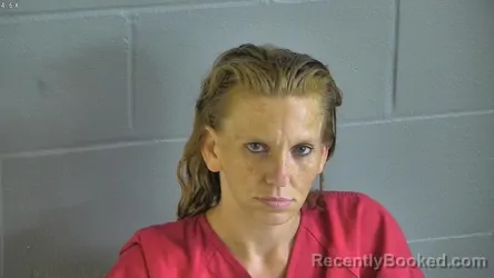 Mugshot of TANA FRANCES PLANK booked in Levy County, Florida on June 18, 2026
