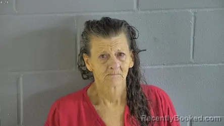 Mugshot of TAMMY HINSON TURNER booked in Levy County, Florida on May 13, 2026
