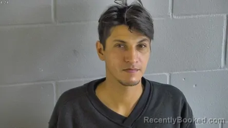 Mugshot of VICTOR ELIGIO ALONSO