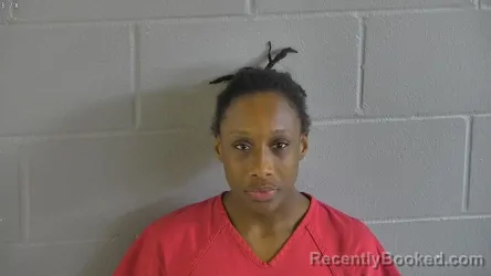 Mugshot of YANIRAH HOLMES booked in Levy County, Florida on April 16, 2026