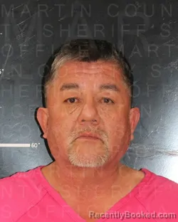 Mugshot of DAVID MORALES