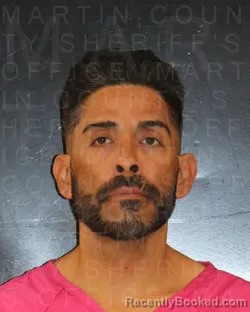 Mugshot of JOEL MUNGUIA