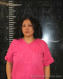 Mugshot of NANCY HOPE NOLAND