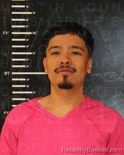 Mugshot of IRVIN OLVERA