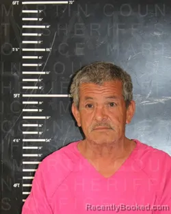 Mugshot of ISMAEL RAMOS