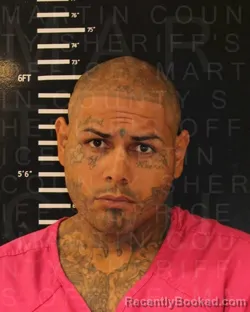 Mugshot of DANIEL SANTANA PALMER booked in Martin County, Texas on June 2, 2026