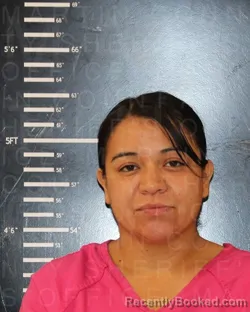 Mugshot of Araceli Reveles booked in Martin County, Texas on September 26, 2026