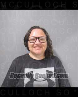 Booking photo from McCulloch County, Texas