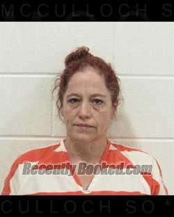 Booking photo from McCulloch County, Texas