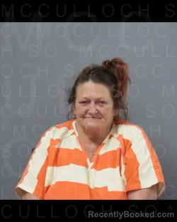 Booking photo from McCulloch County, Texas