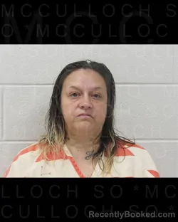 Booking photo from McCulloch County, Texas