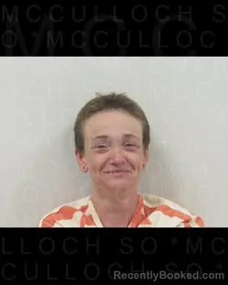 Mugshot of TIFFANY Lynn TAYLOR