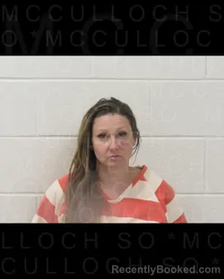 Booking photo from McCulloch County, Texas