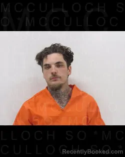 Mugshot of BRAEDEN Cordell SWAIN