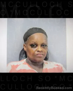 Booking photo from McCulloch County, Texas
