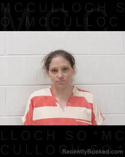 Mugshot of KRISTINA ERLANSON