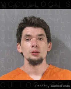 Mugshot of ERIC WAYNE SIMONS