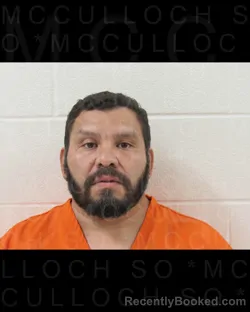 Mugshot of JESUS SALINAS