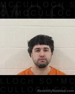 Mugshot of JESSE JOEL FLORES