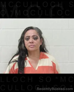 Mugshot of DIANA REASER booked in McCulloch County, Texas on March 25, 2026