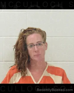 Mugshot of JAMIE Lynn SNEATHEN booked in McCulloch County, Texas on March 28, 2026