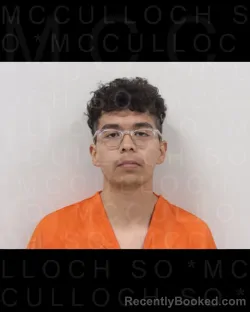 Mugshot of JACOB ANTHONY LAURELES booked in McCulloch County, Texas on March 30, 2026