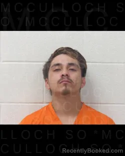 Mugshot of GUADALUPE ISREAL ESCOBEDO booked in McCulloch County, Texas on April 7, 2026