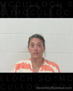 Mugshot of ANTIONETTE REVELEZ booked in McCulloch County, Texas on April 13, 2026