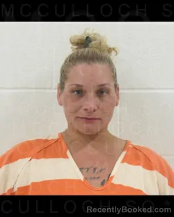 Mugshot of PRINCESS Fredda BROWN booked in McCulloch County, Texas on April 14, 2026