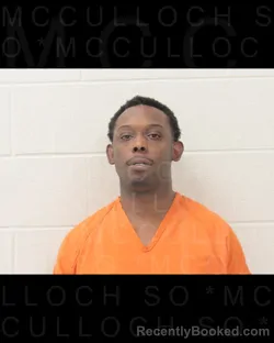 Mugshot of AUBREY TYREE FEARS booked in McCulloch County, Texas on April 17, 2026