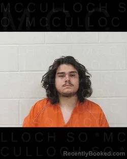 Mugshot of ABEL ALEXANDER MELGAR booked in McCulloch County, Texas on May 30, 2026
