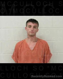 Mugshot of DYLAN SHAY JOLLY booked in McCulloch County, Texas on June 30, 2026