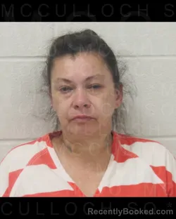 Mugshot of CHRISTI SANCHEZ SILVA booked in McCulloch County, Texas on July 5, 2026